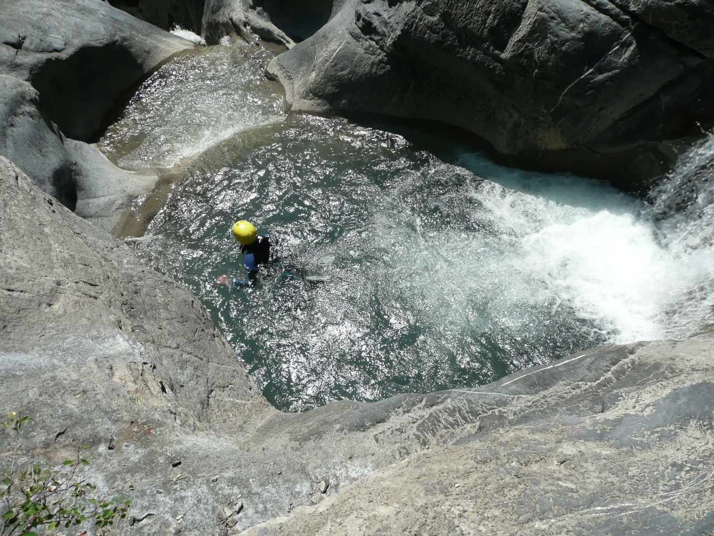 SOWELL Family Les Bergers