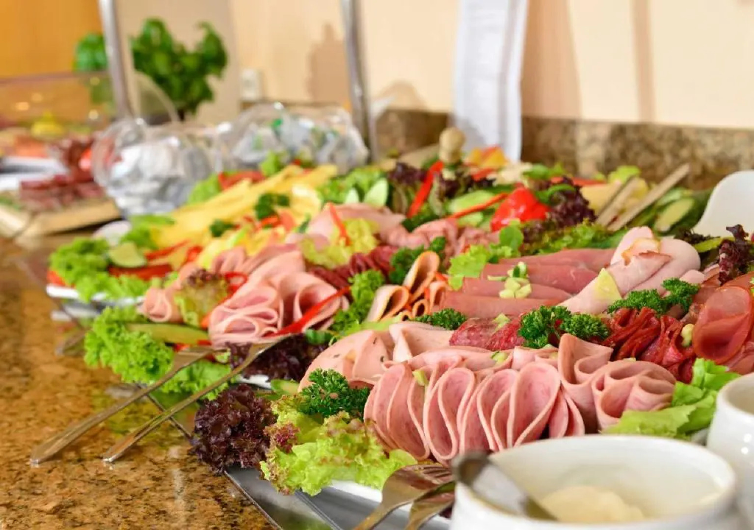 Michel Hotel Frankfurt-Airport Ruesselsheim