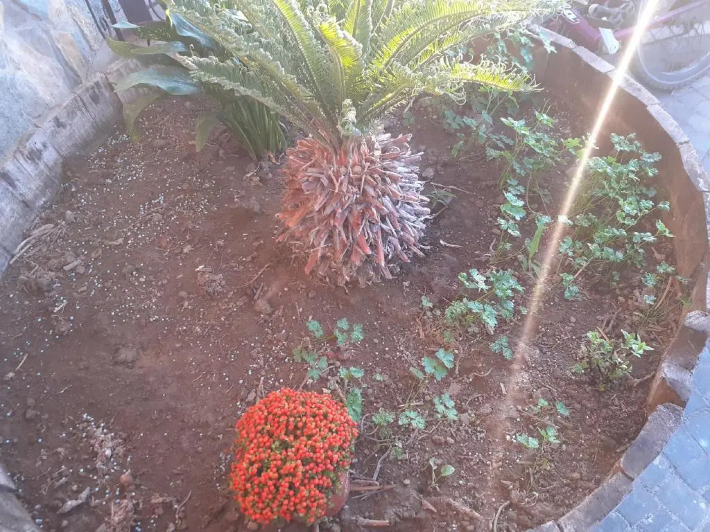 Appartamento HOUSE IDA