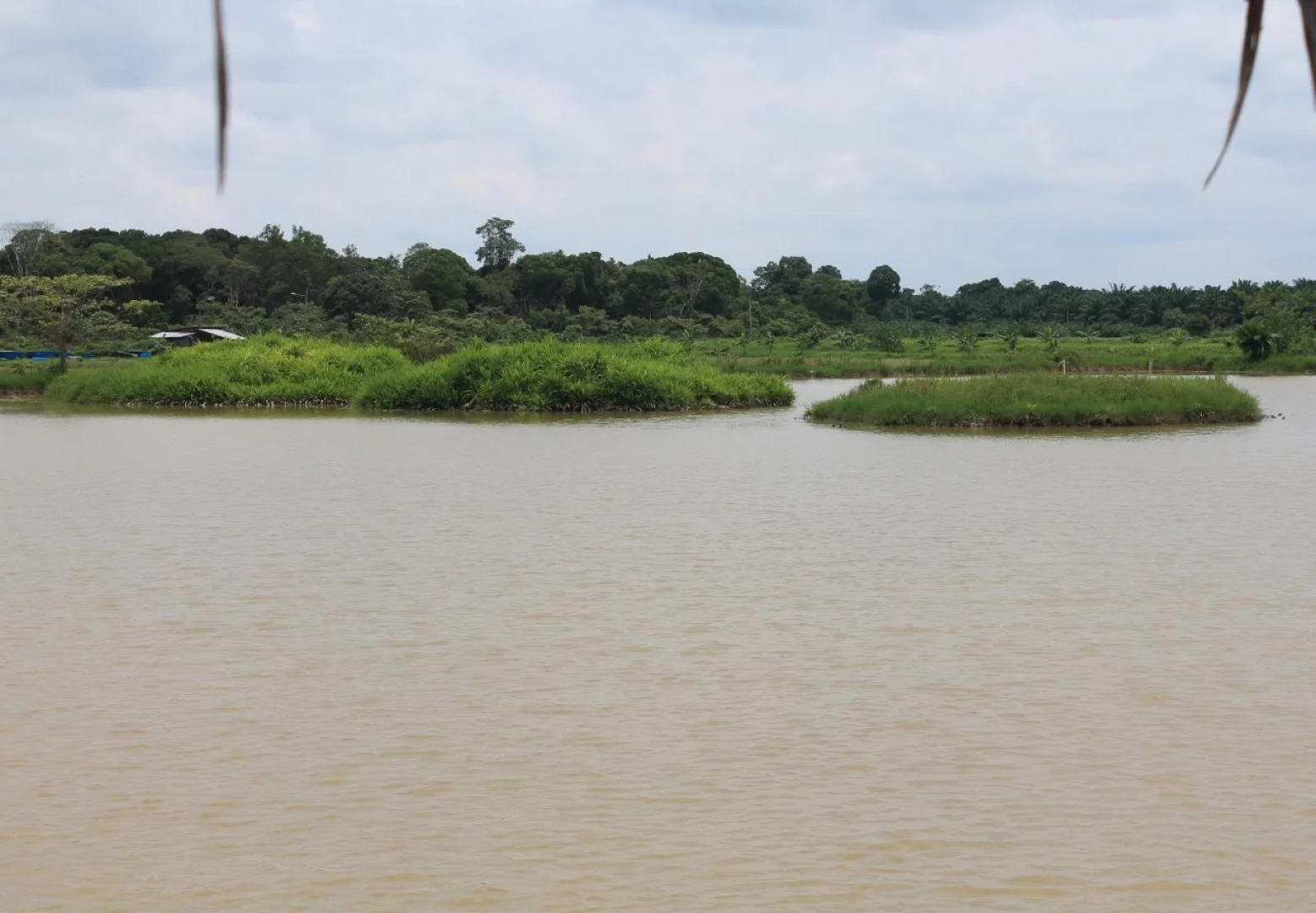 Kahang Organic Rice Eco Farm Resort