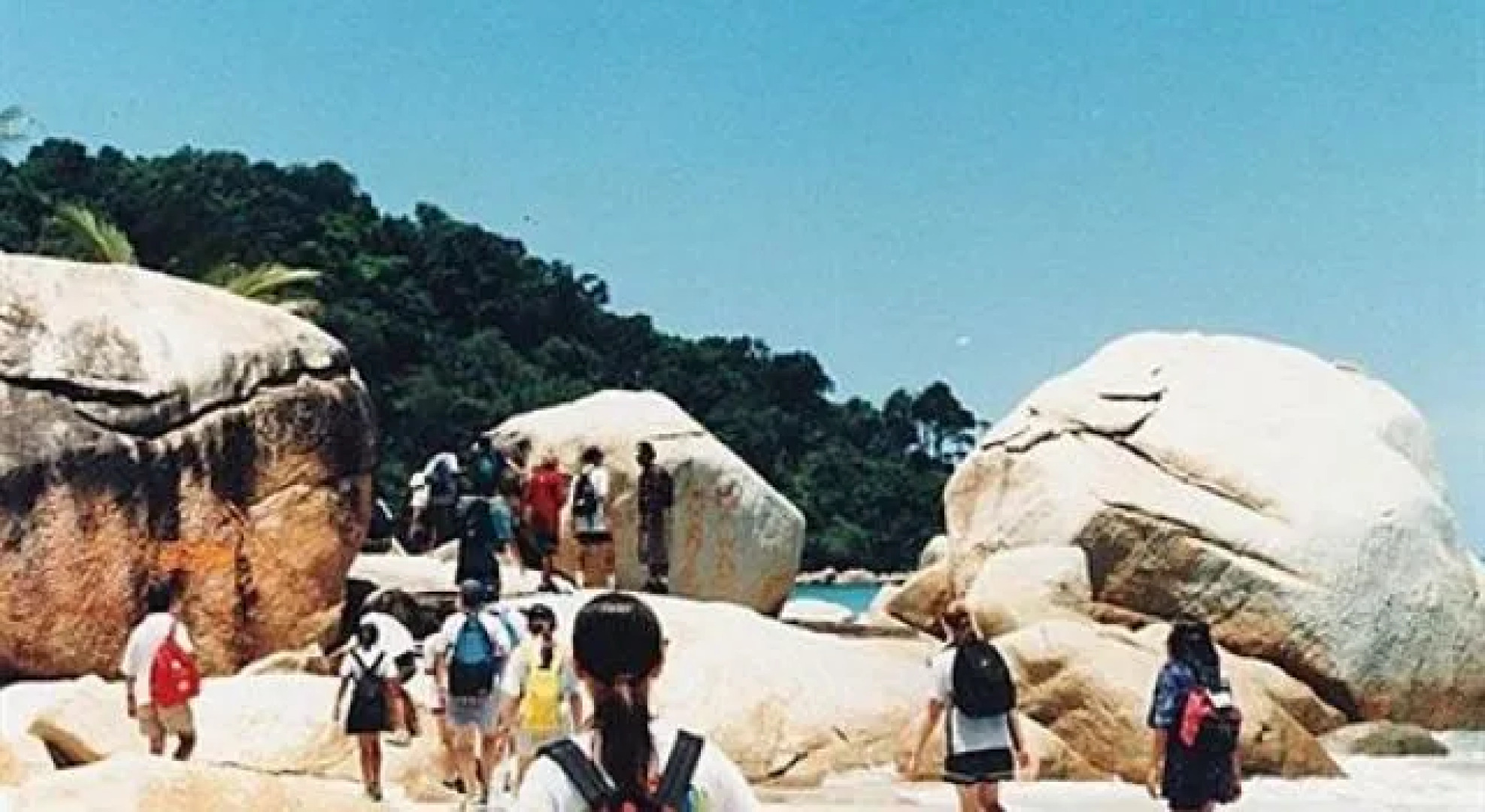 Dcoconut Island Resort