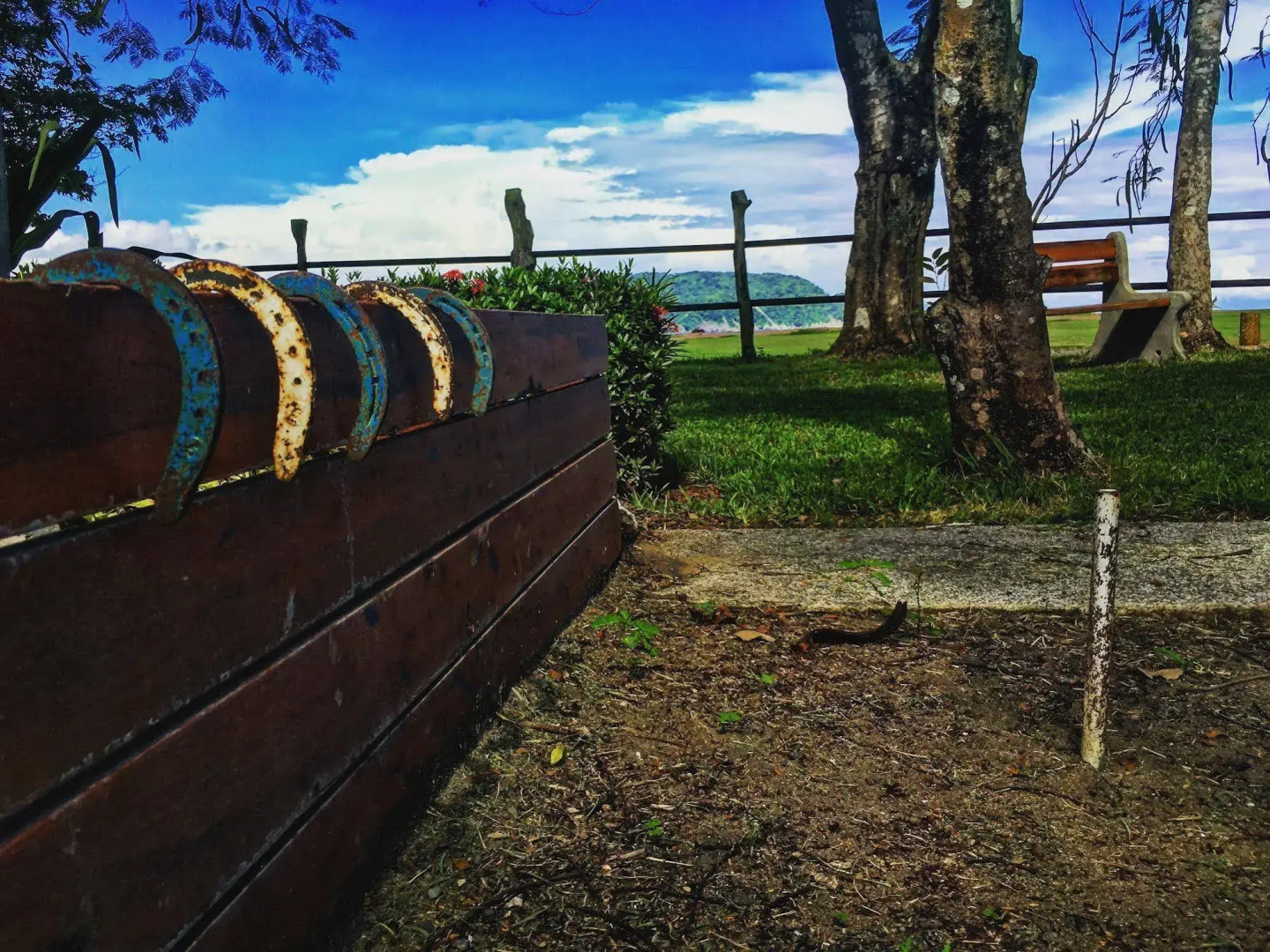 Tambor Tropical - Adults Only