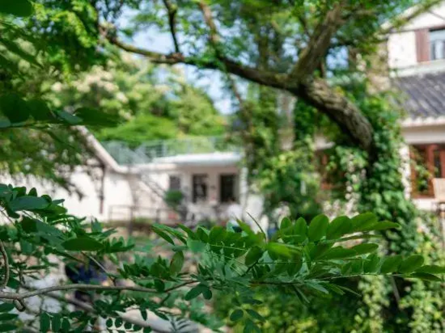 Zhangjiajie Fu Xi Er Yi ·LiFe Qingshe Design Meisu