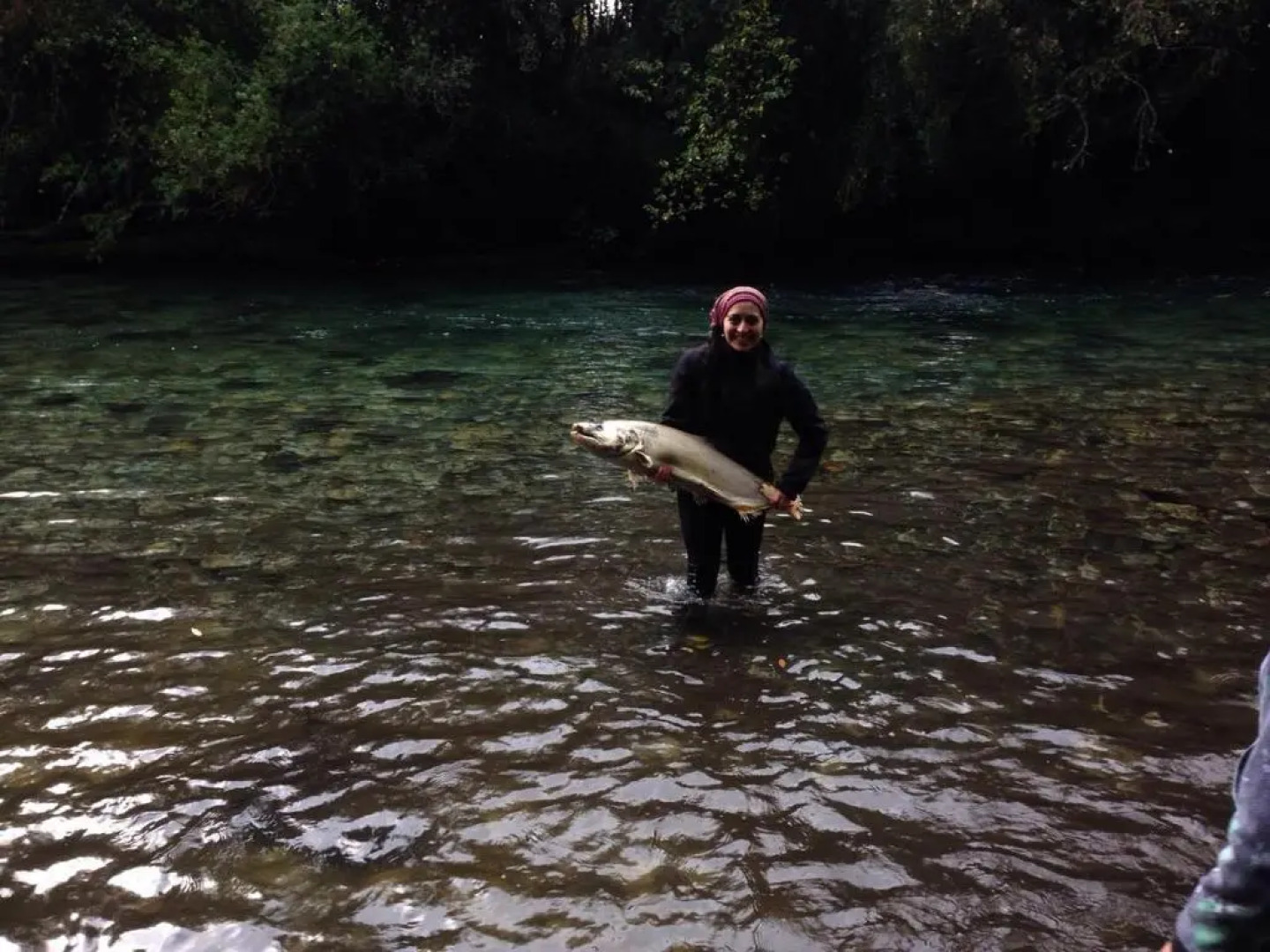 Entre Esteros Hornopiren