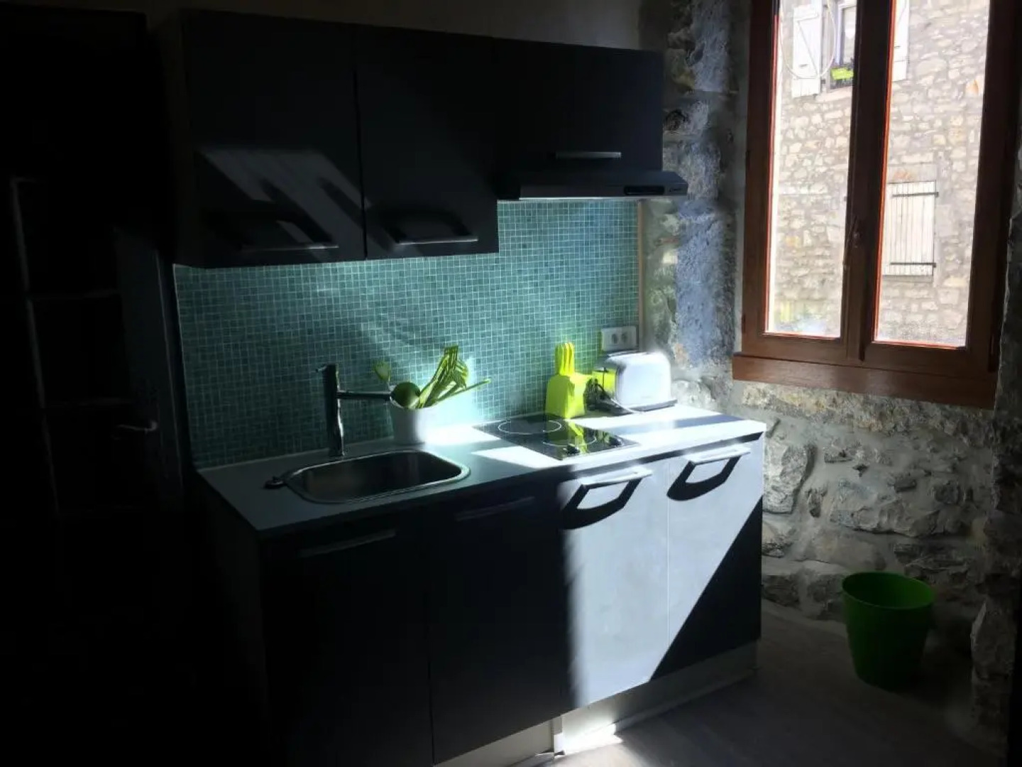 l'oiseau vert design