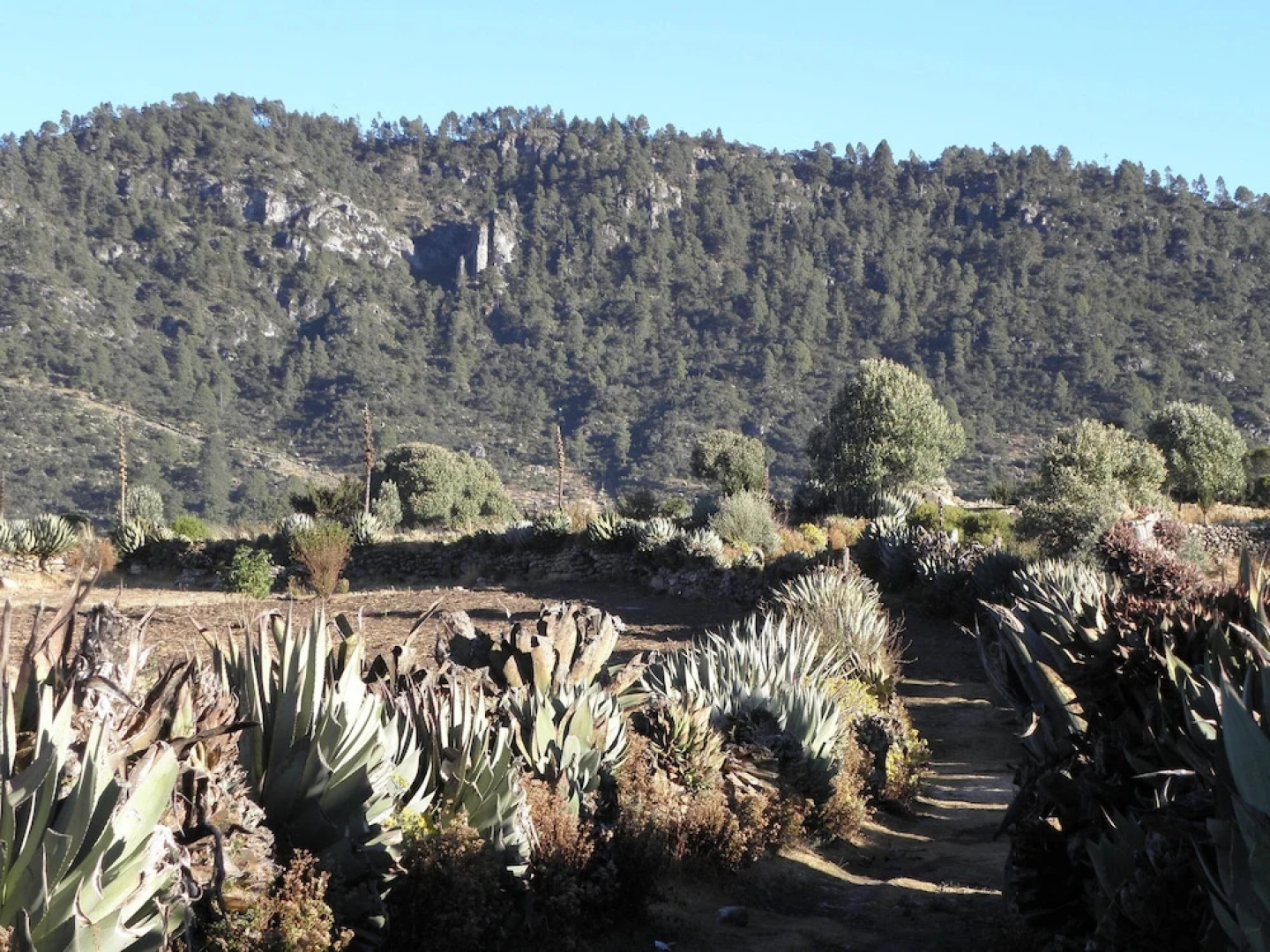 Casa Pedregal Chiaval