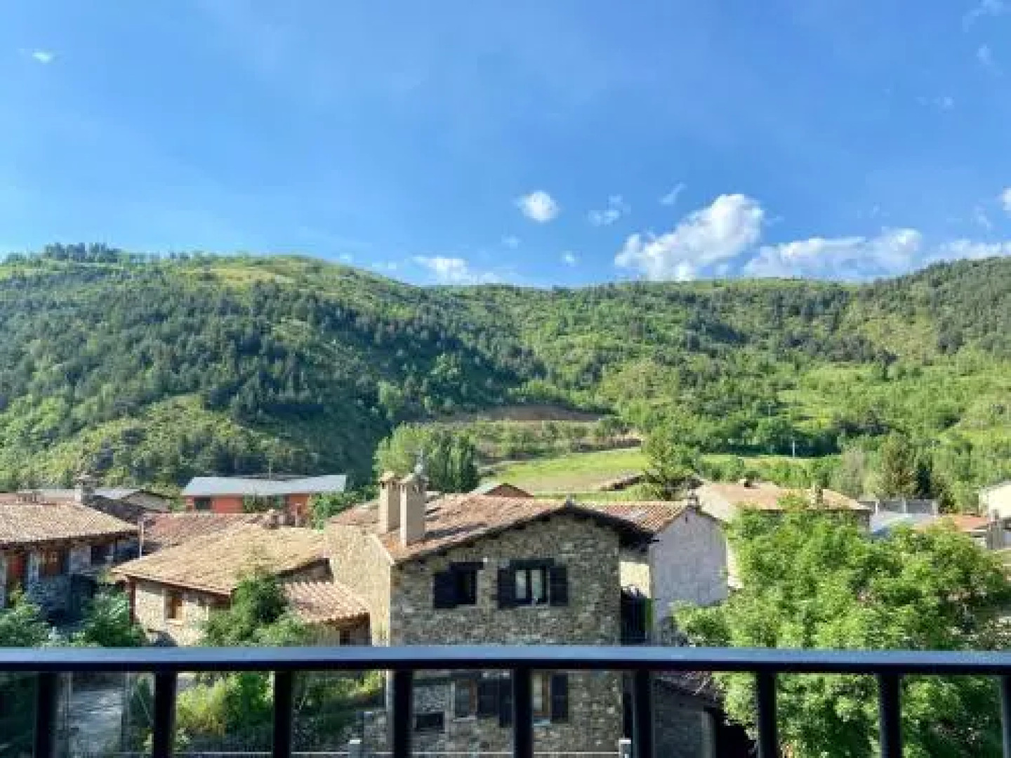 Apartaments Turístics Cal Patoi