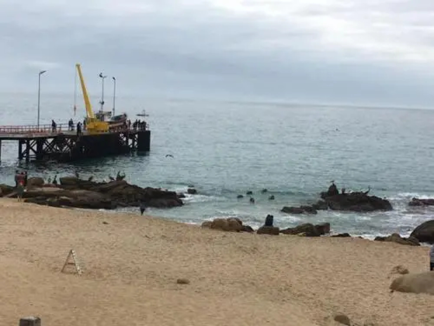 Cabañas La Posada Del Mar