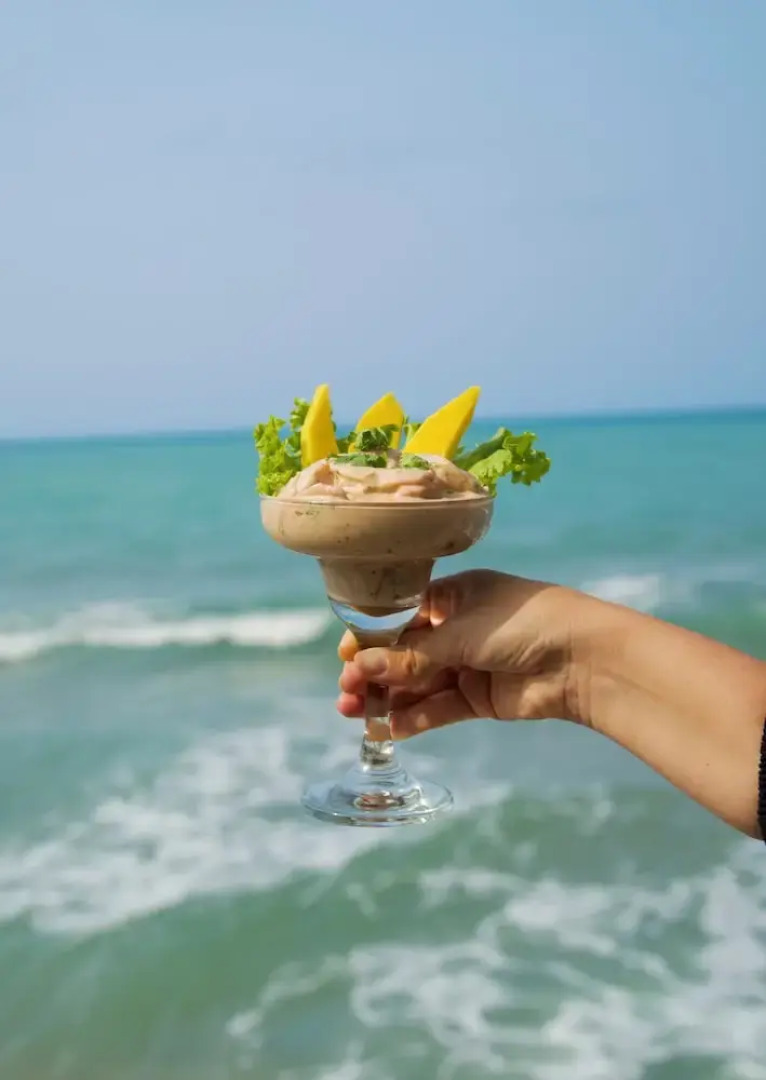 coconuco beach palomino