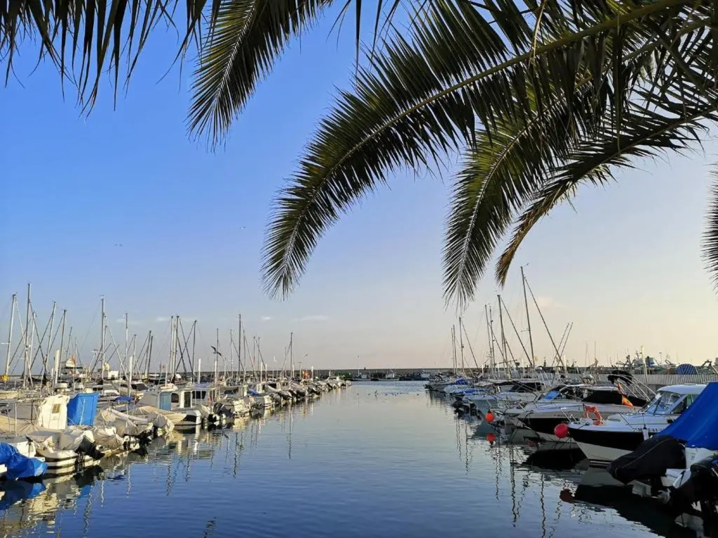 Sunny Beach View Duplex wWi-Fi Pool AC - Alojamientos La Torre