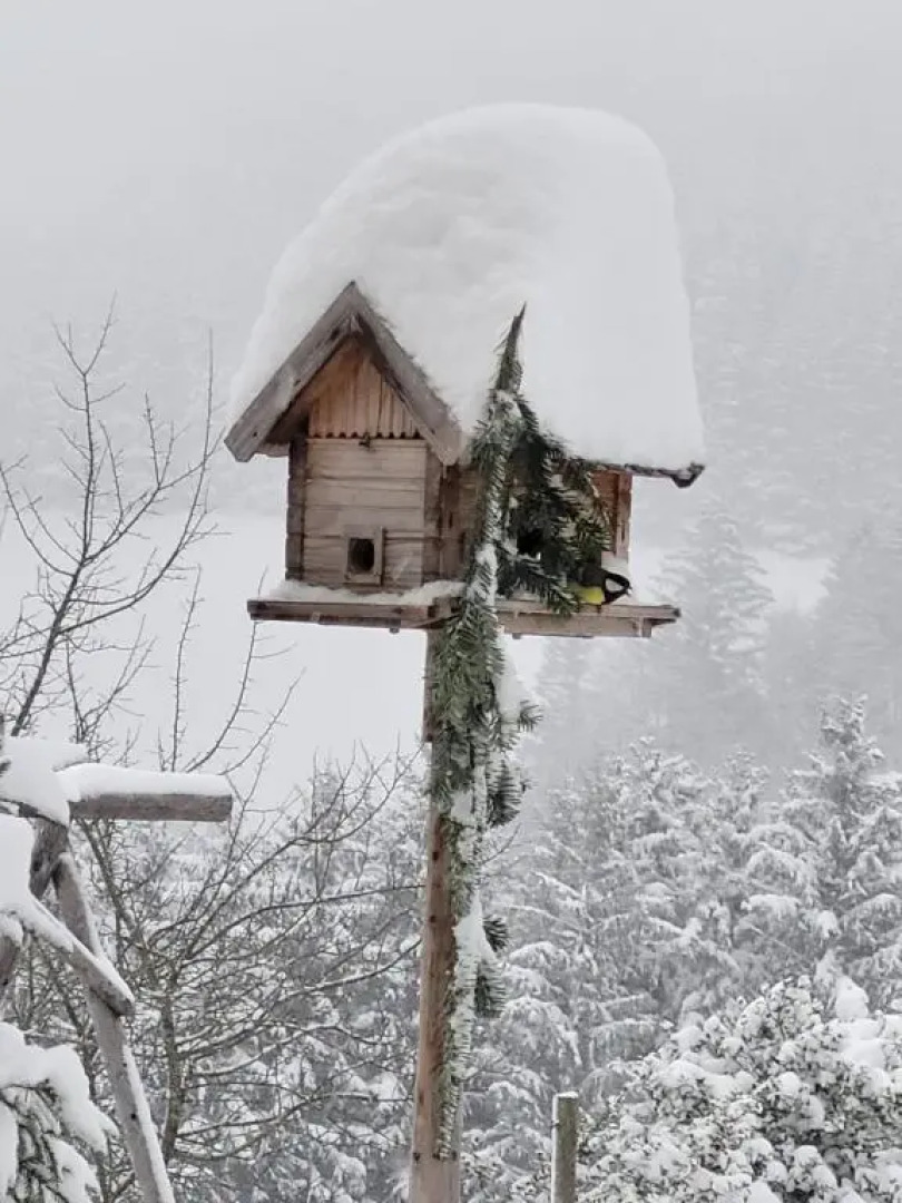 Kräuterhof Miesrigl