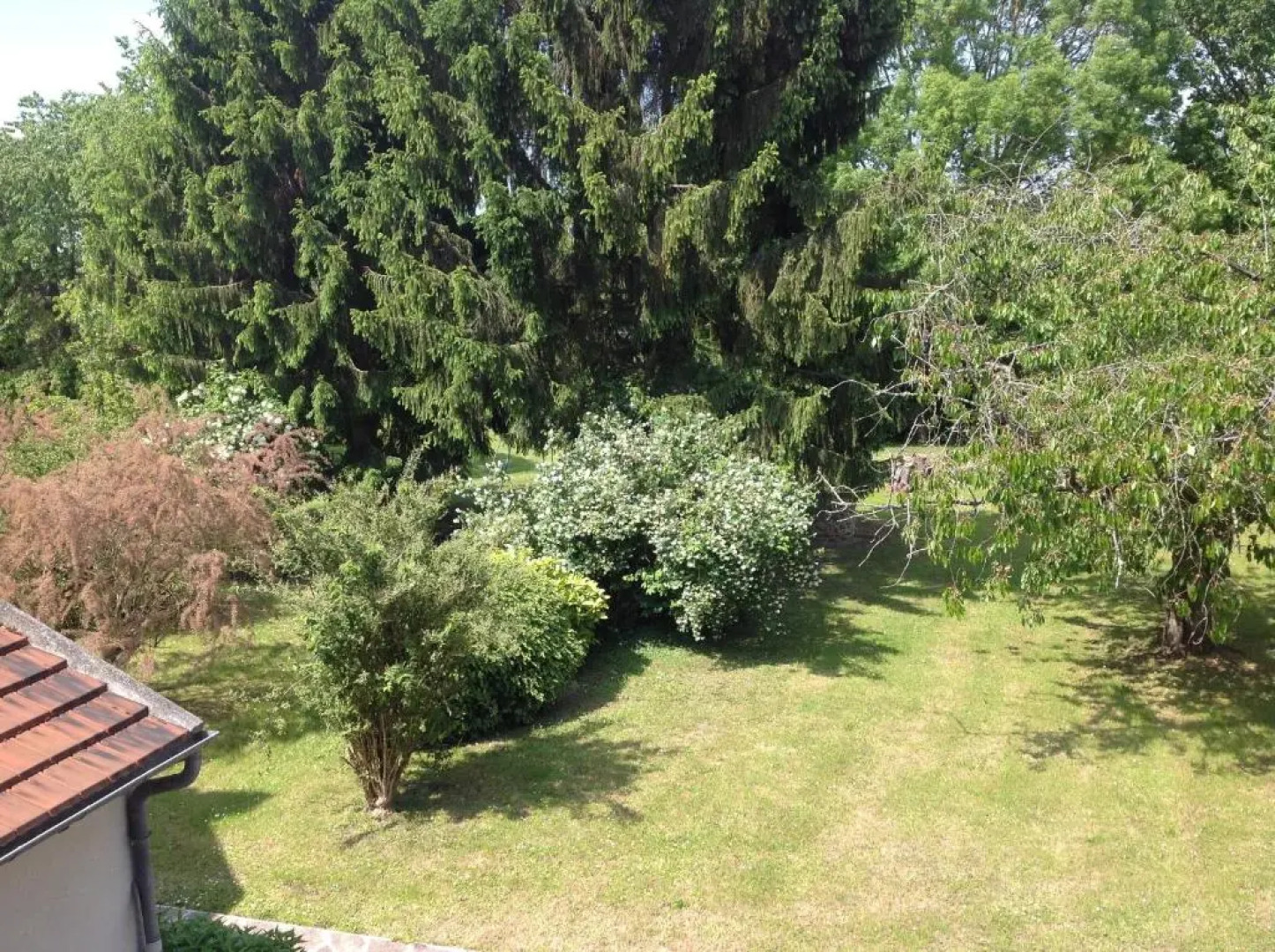 Les Jardins de la Tuilerie