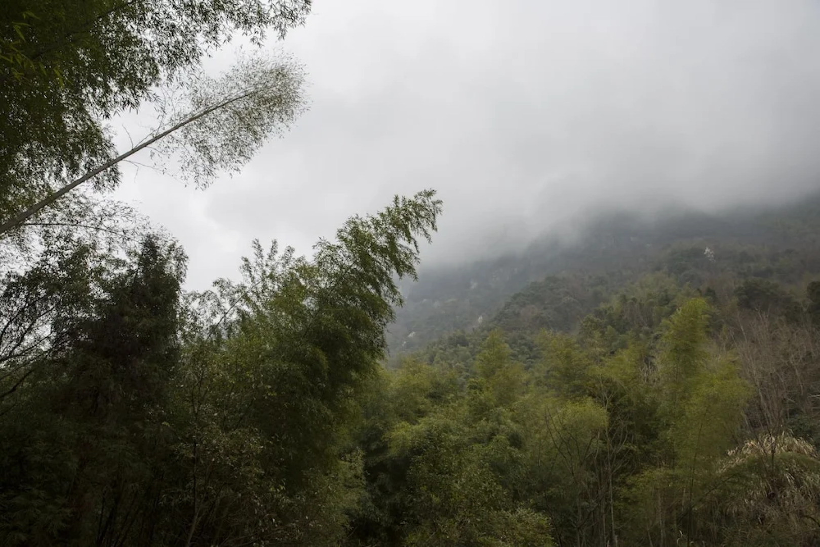 Jiuxi Cloud Valley Hotel