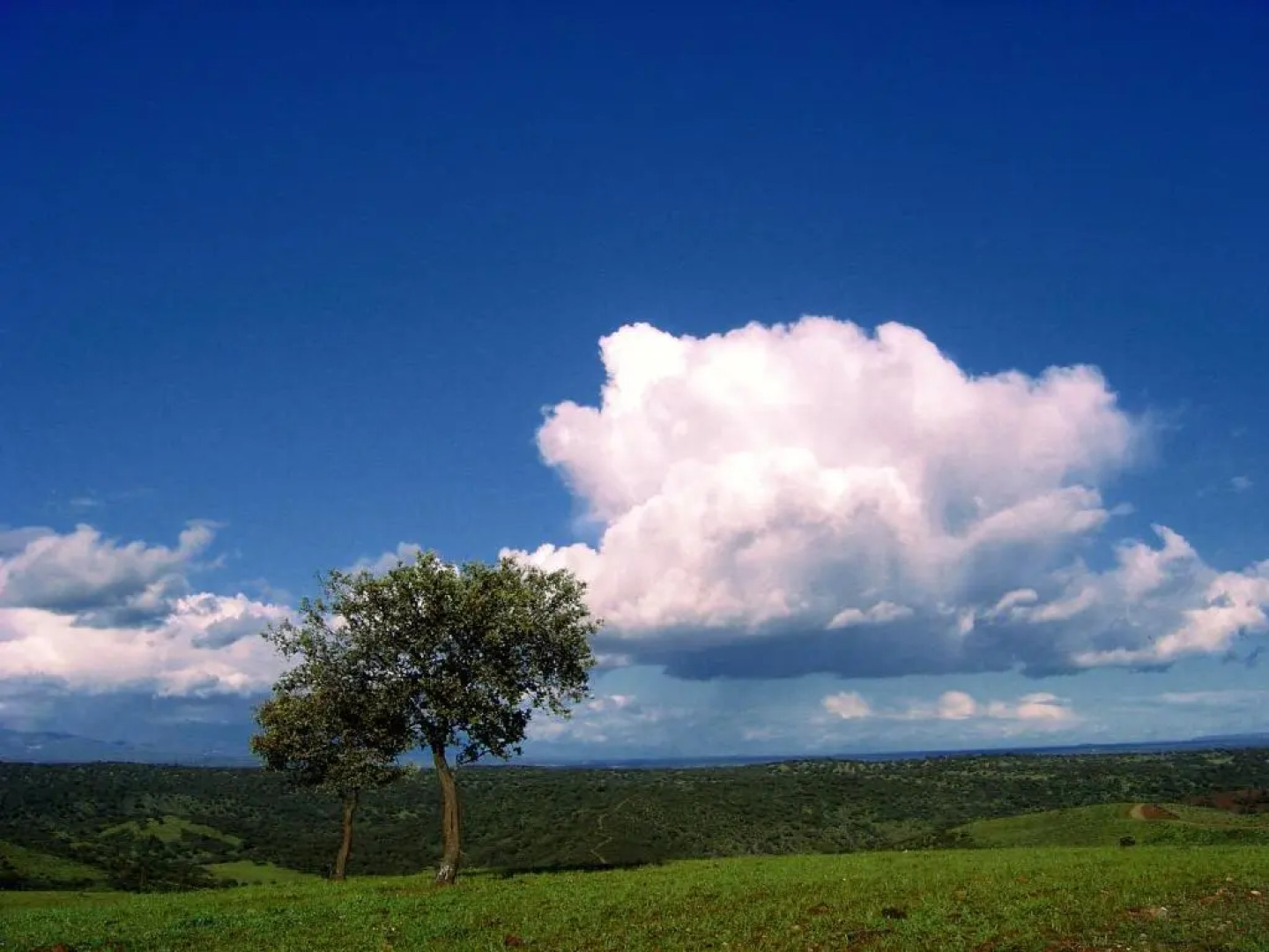 Casa Rural La Sierra de Monfragüe