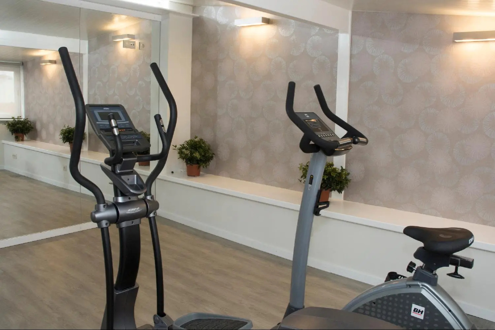 Hotel Rainha D. Amelia, Arts & Leisure