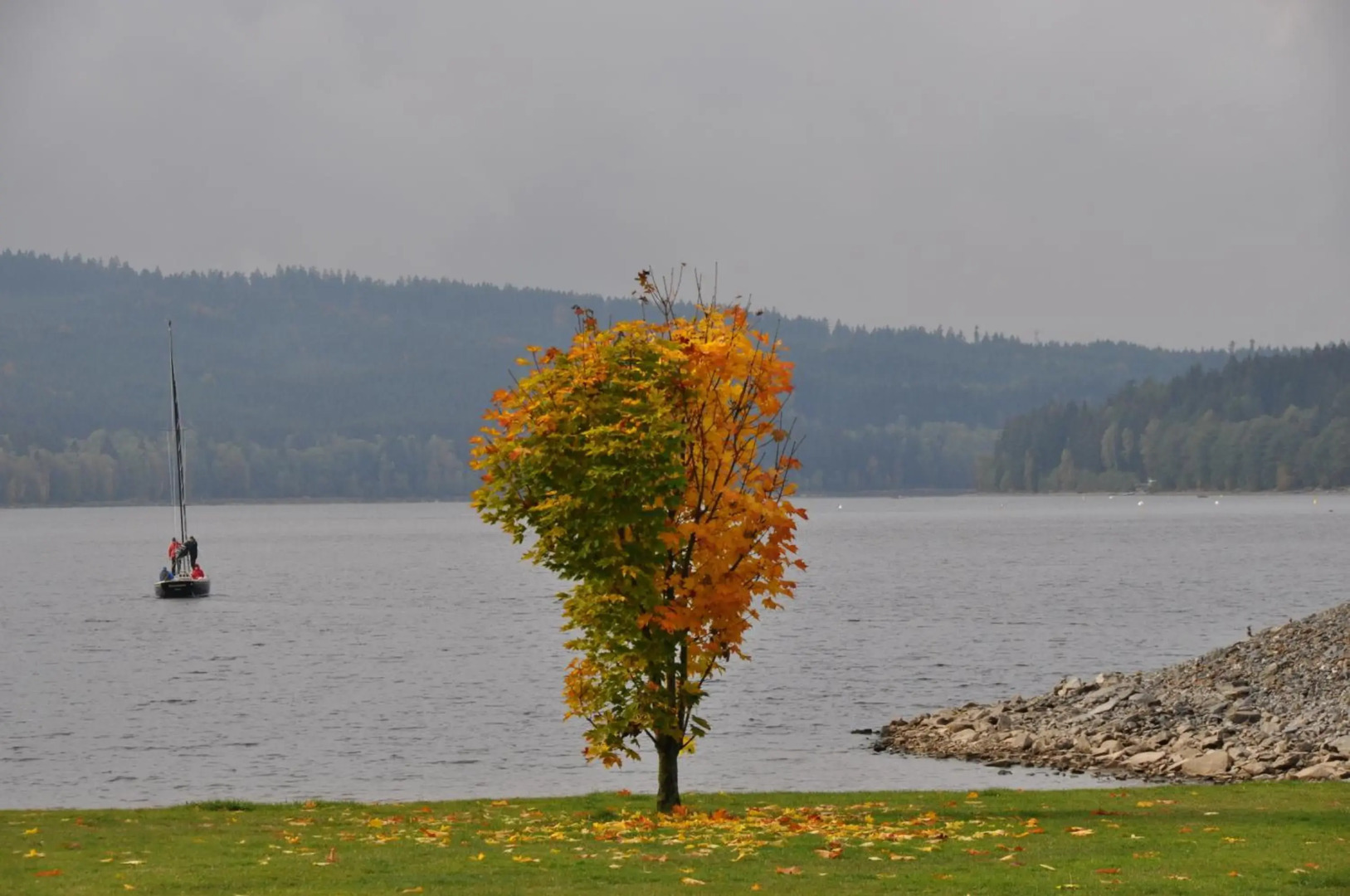 Studio Apartments Lipno 22, 24