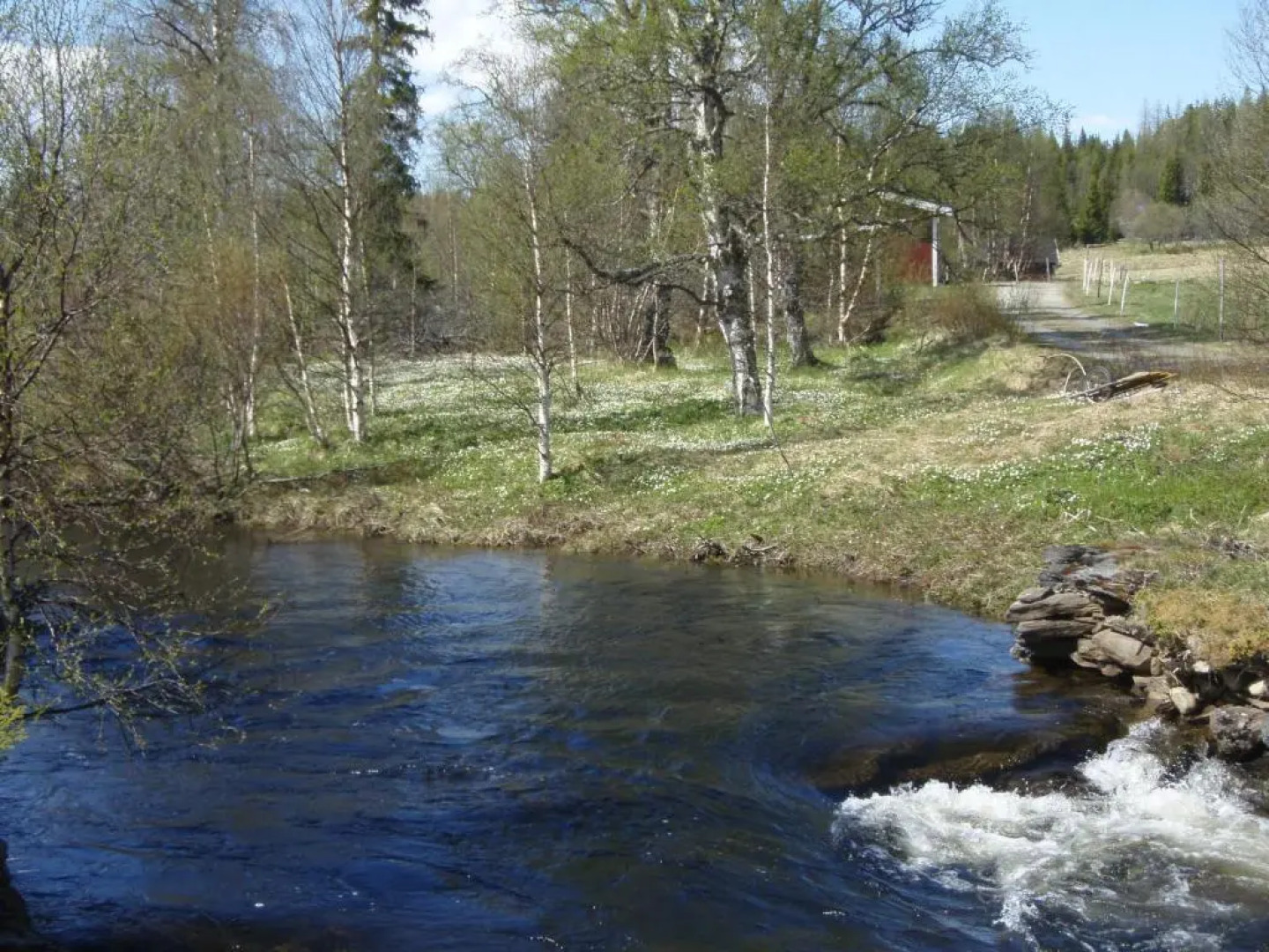 Enaforsholm Fjällgård
