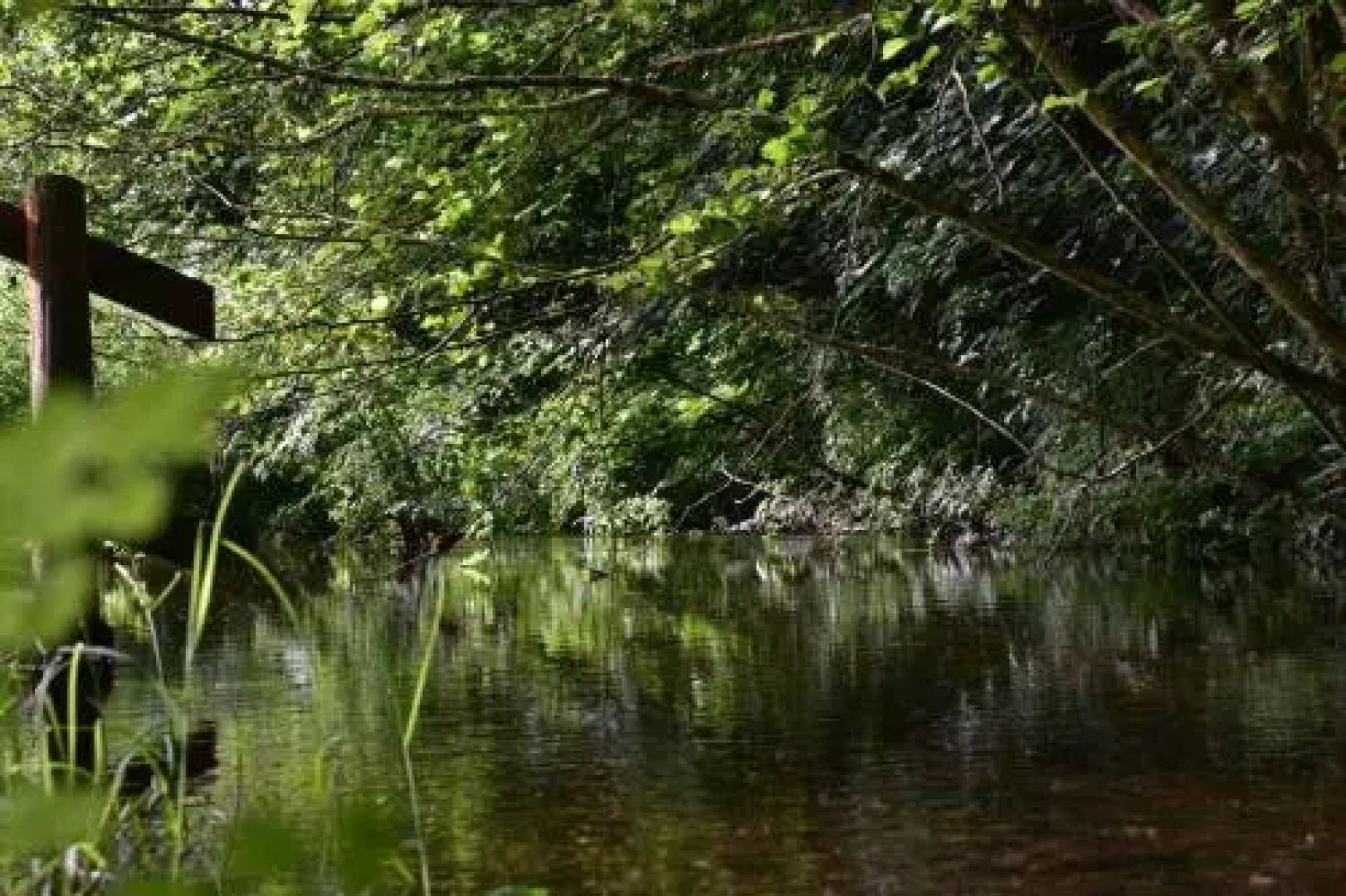 The West Wing at Trevadlock Manor