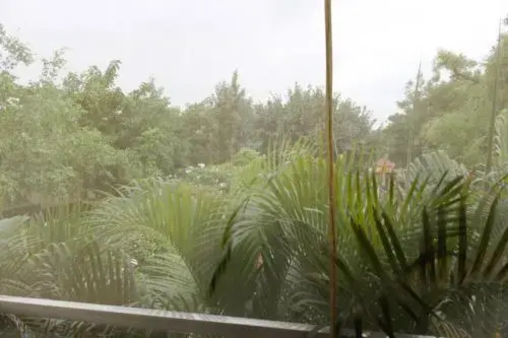 Mrugavani Resort & Spa