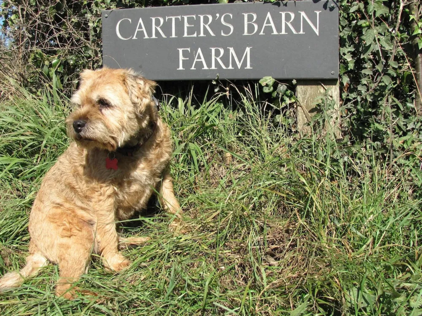The Granary and Teals Den at Carters Barn Farm