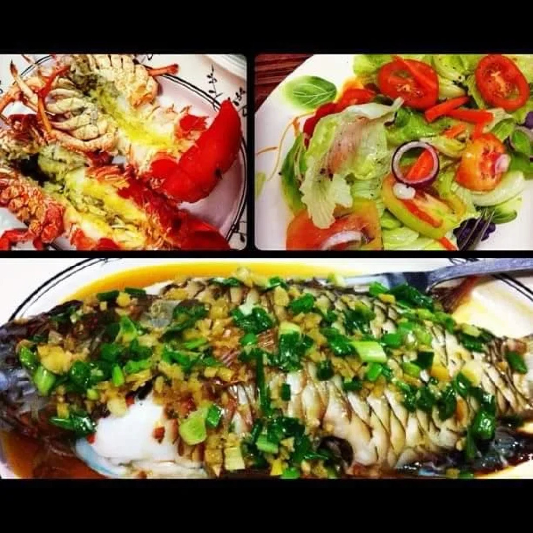 shanedel's inn & café