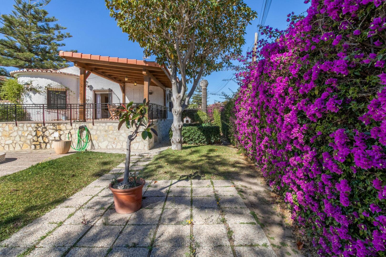 Arena (San Juan de Alicante)