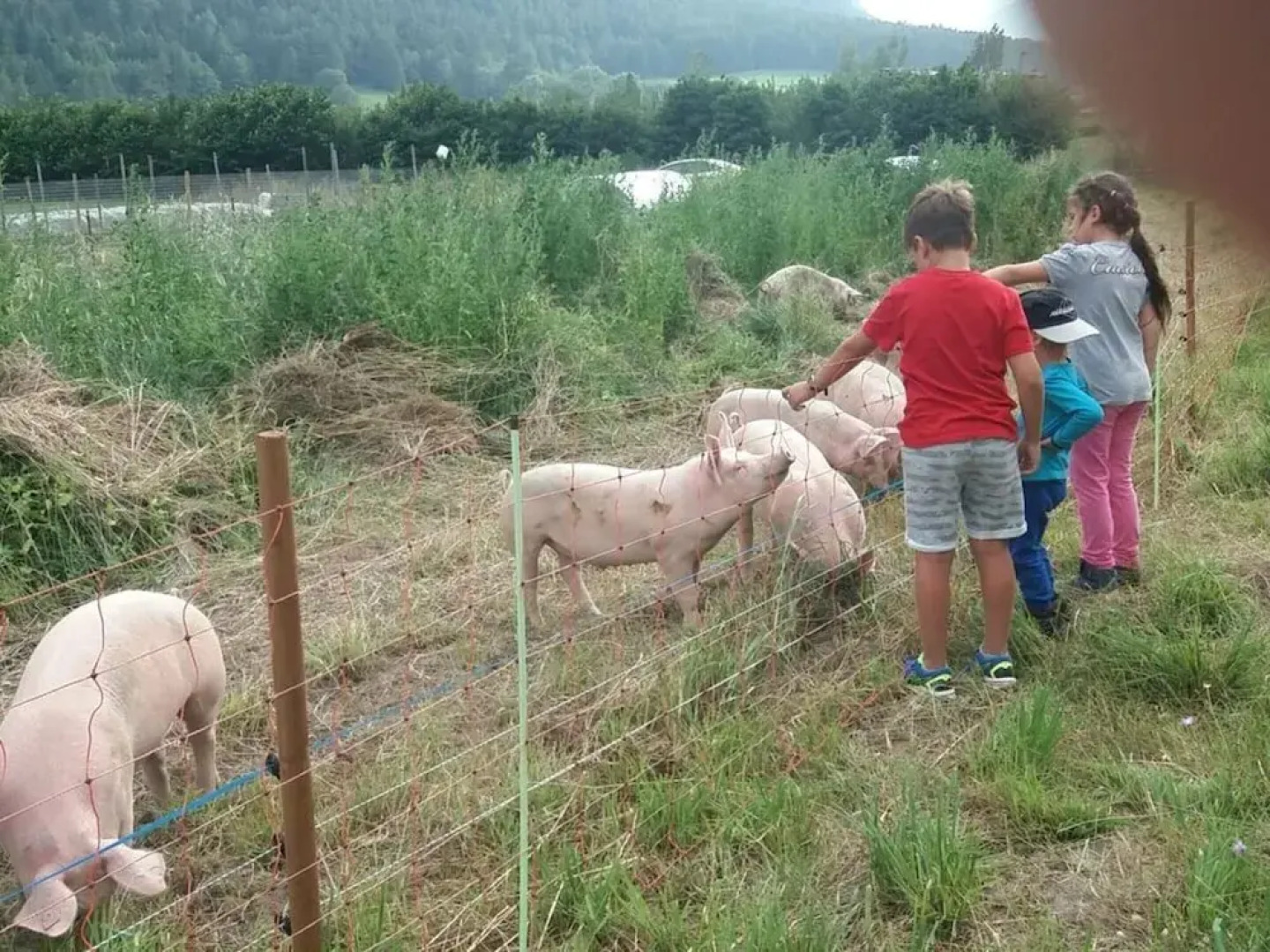 Hoamisch Modern Retreat