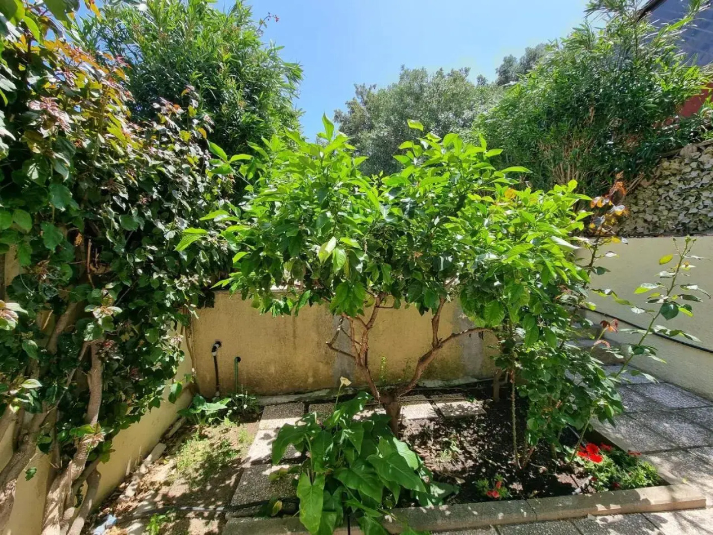 Appartamenti con giardino ad Olbia