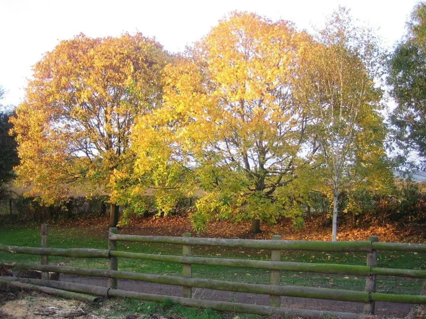 Lowe Farm - Bed & Breakfast Leominster