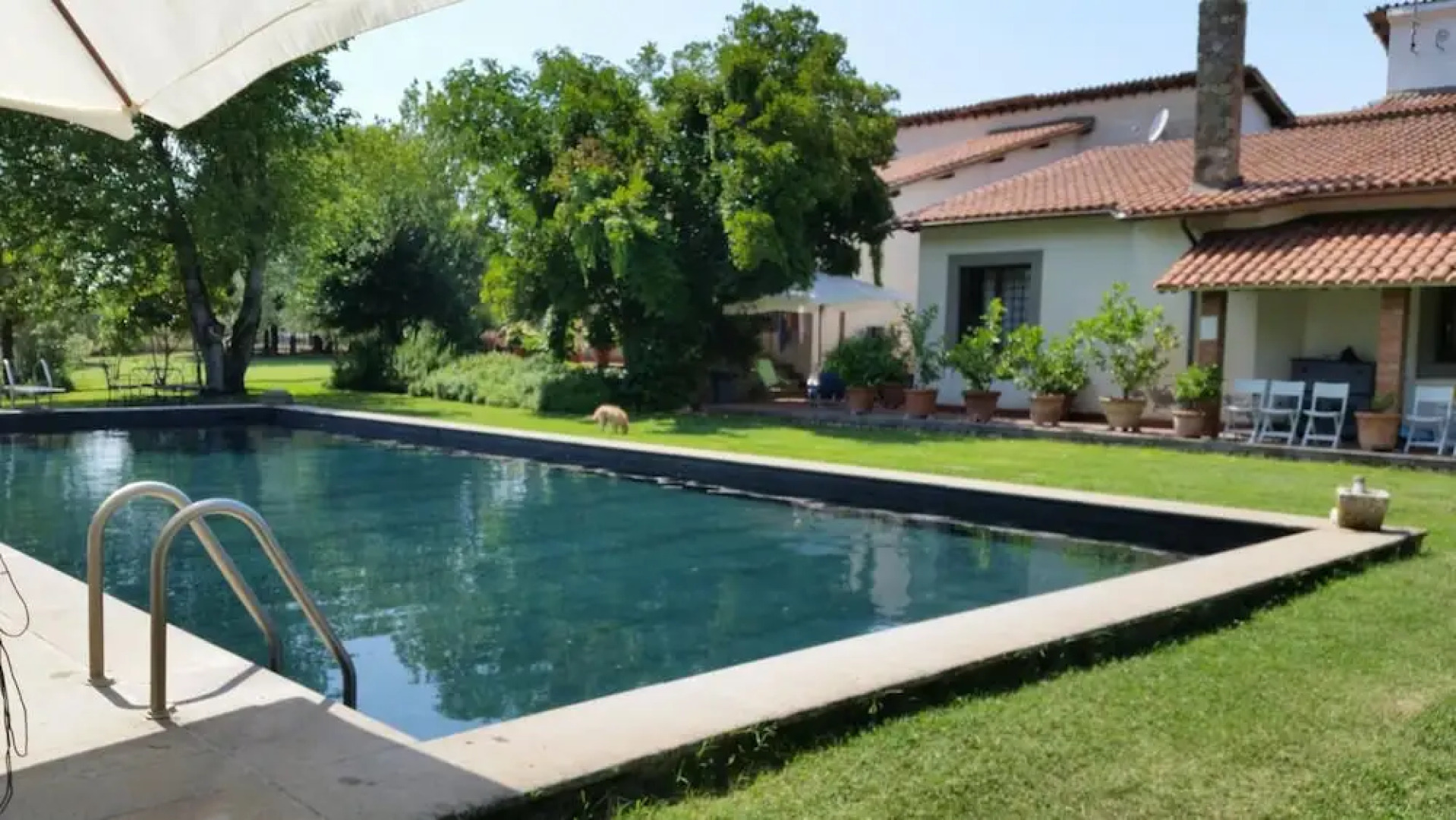 Bicoca - Nuova Fattoria