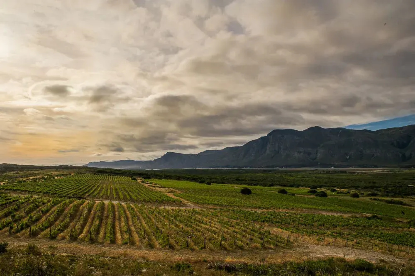 Springfontein Sleeps