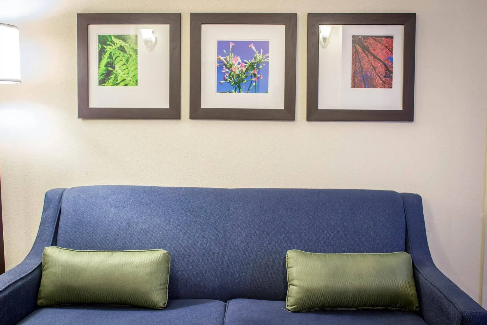 Comfort Inn & Suites Fuquay Varina