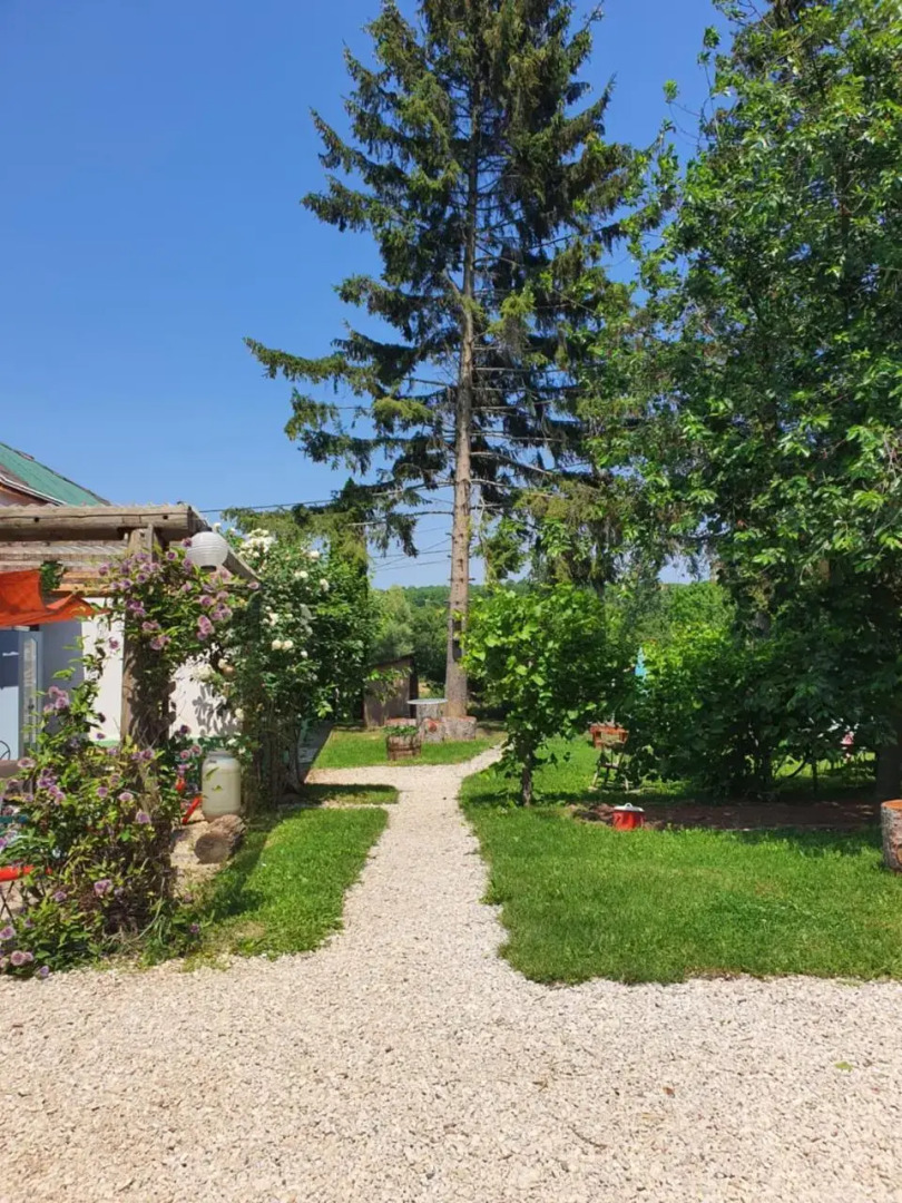 Koppany Pines Rewild Escapes - Hungarian Village Panzio