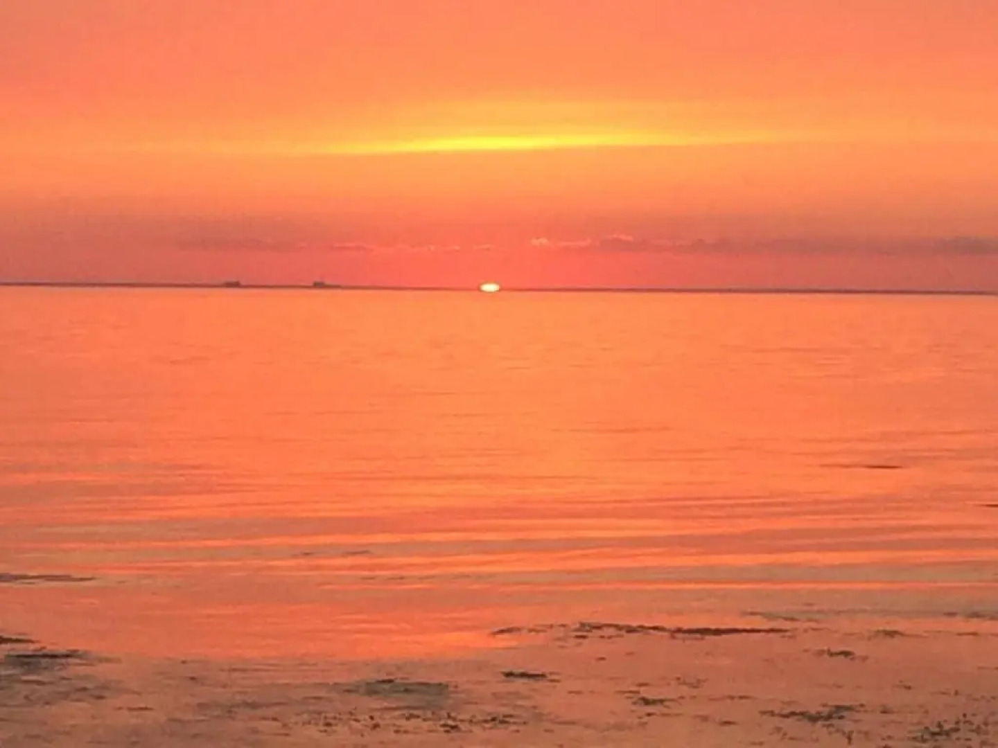 Villa Neptuni lägenhet och rumsuthyrning