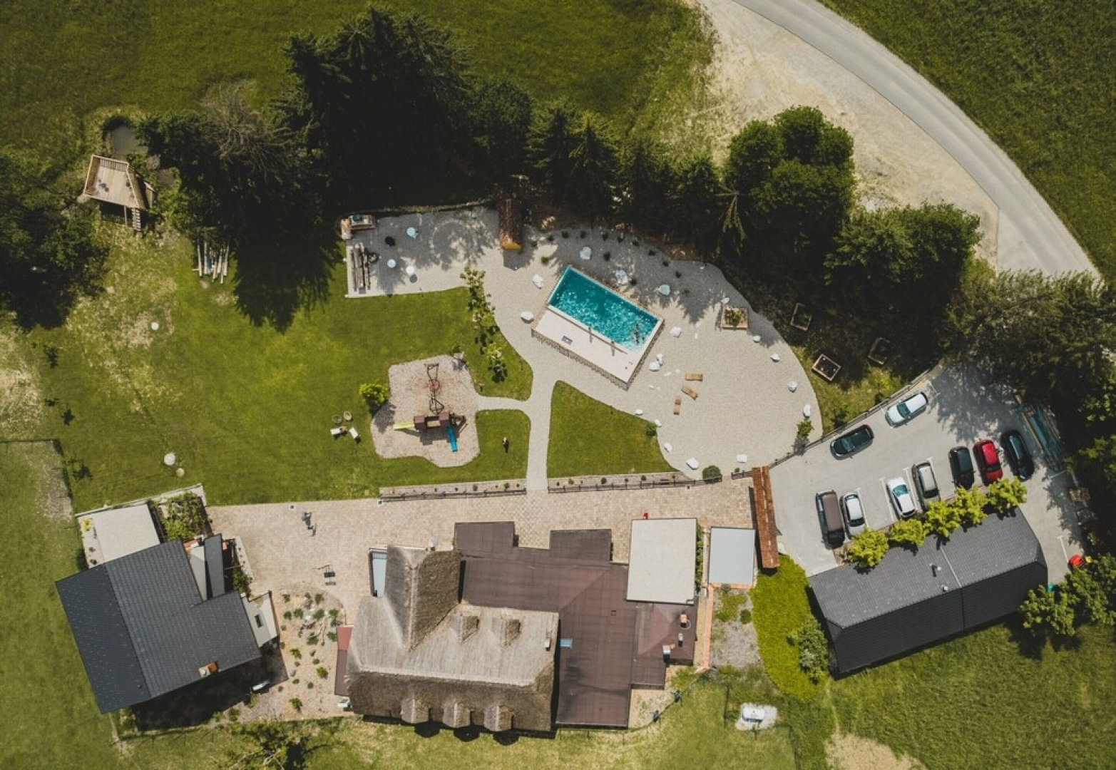 Pool Suite Sunflower