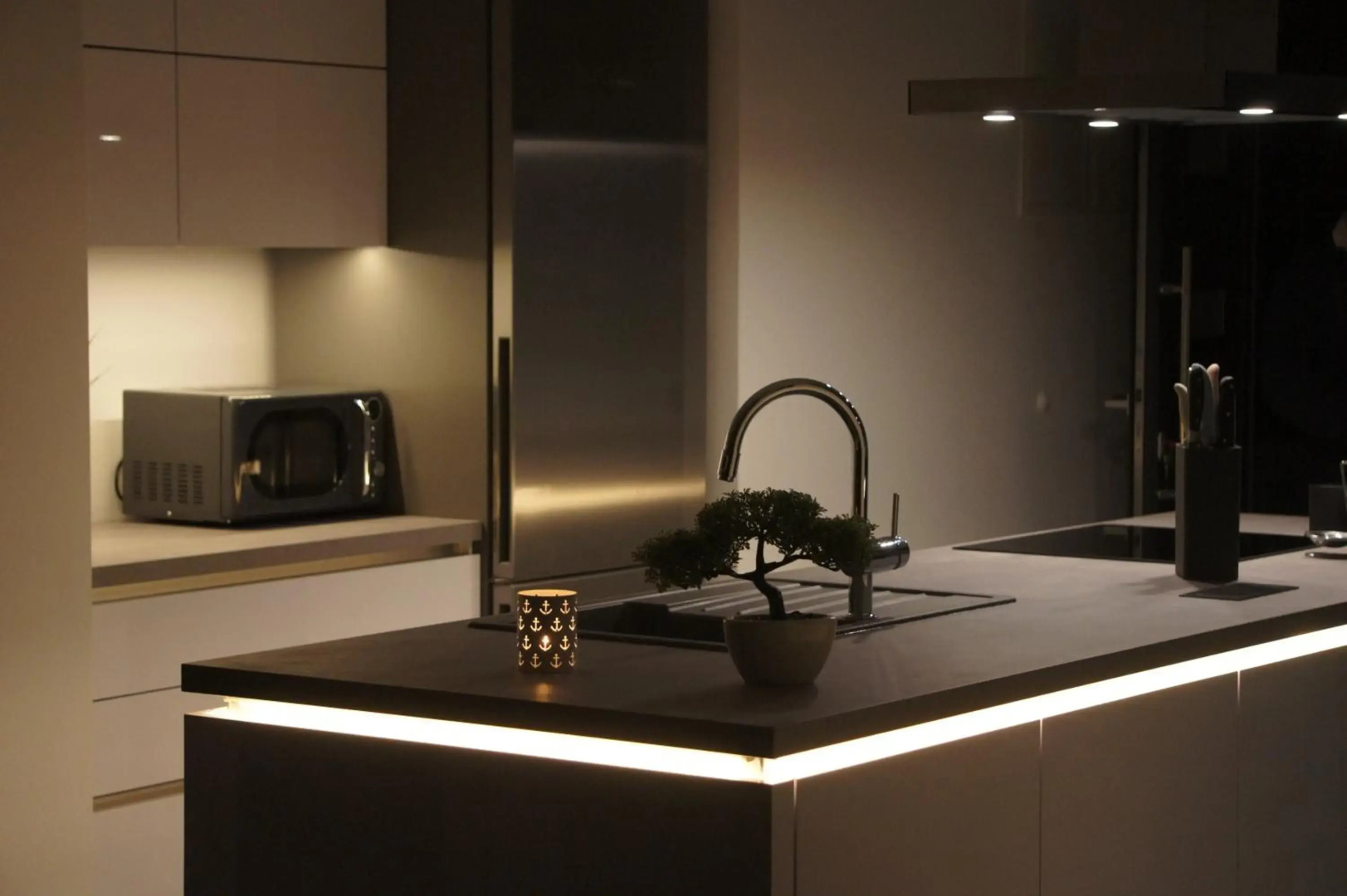 Palms & Beach Maslenica