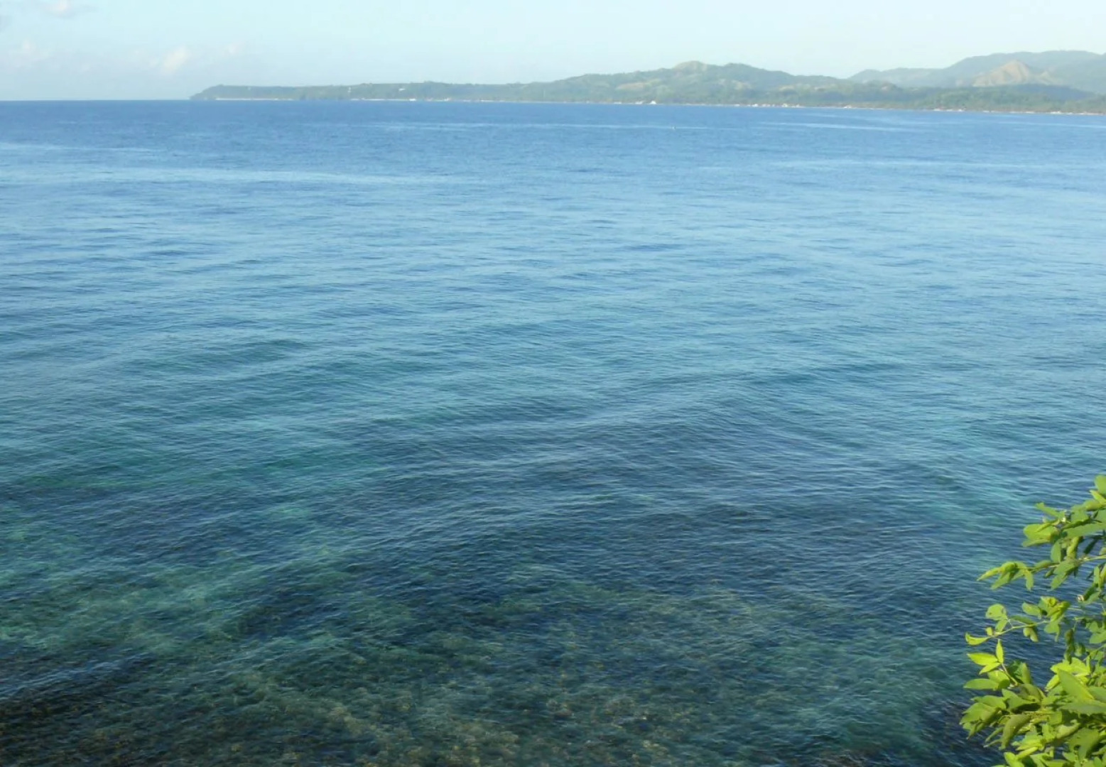 Bohol Lahoy Dive Resort