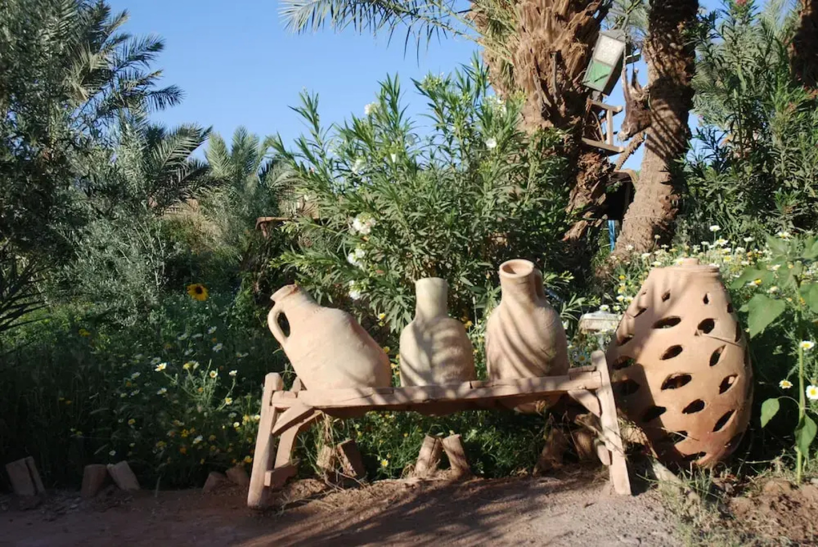 Room in Guest Room - Paradise in the Southern Desert Morocco