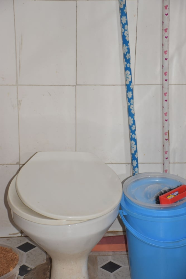 The Social Innovation Experience