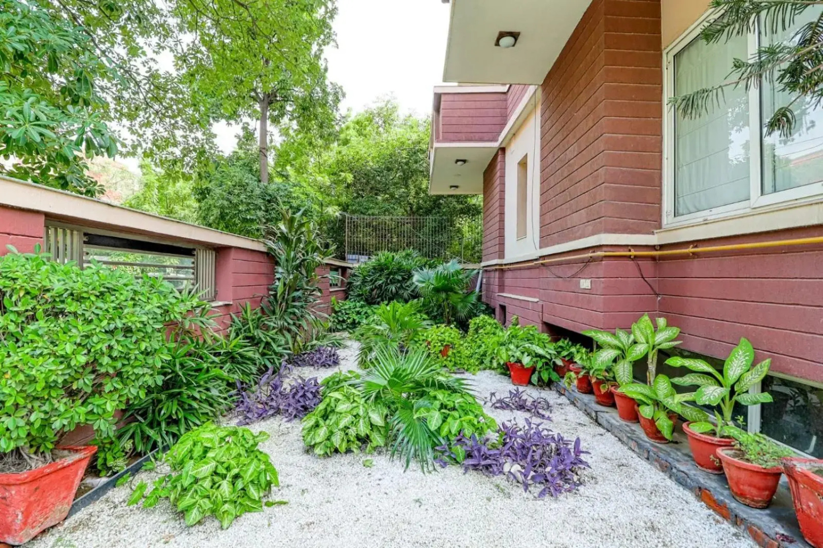 OYO Premium Noida Amity