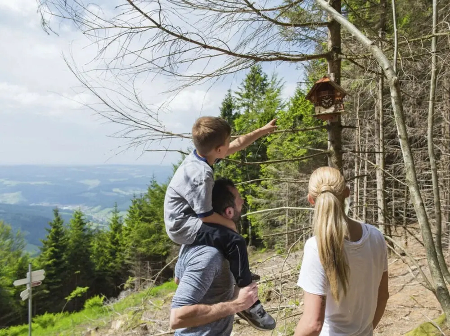 Zum Kuckuck Black Forest