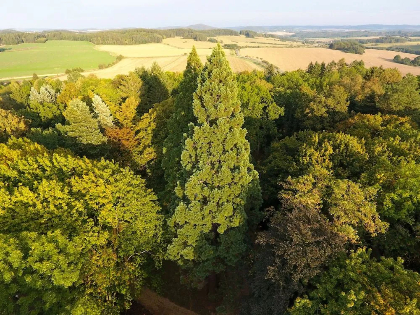Zámek Ratměřice Hotel & Resort