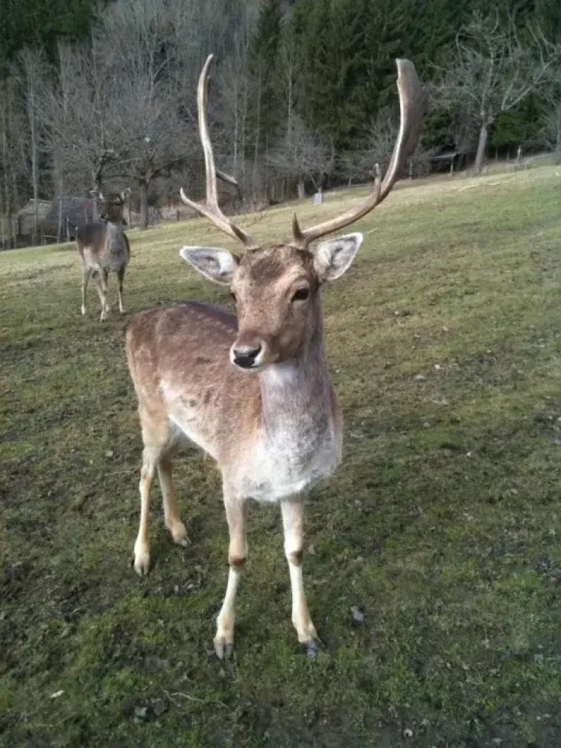 Schlossbrauerei Weinberg - Erste oö. Gasthausbrauerei