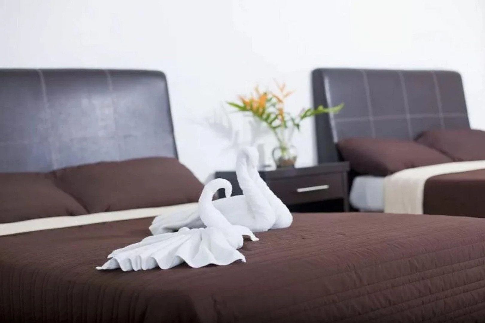 Hotel Splash Inn Nuevo Vallarta