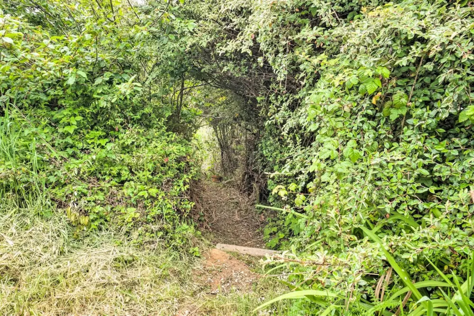 Serenity By The Sea - Chic Oceanfront Home w/ Deck