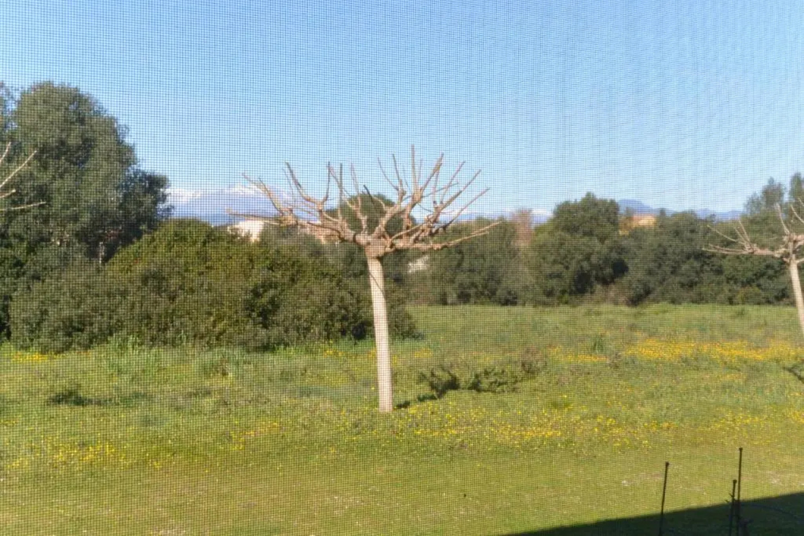 Rumana 1- Proche Plage Et Commerces - Aleria