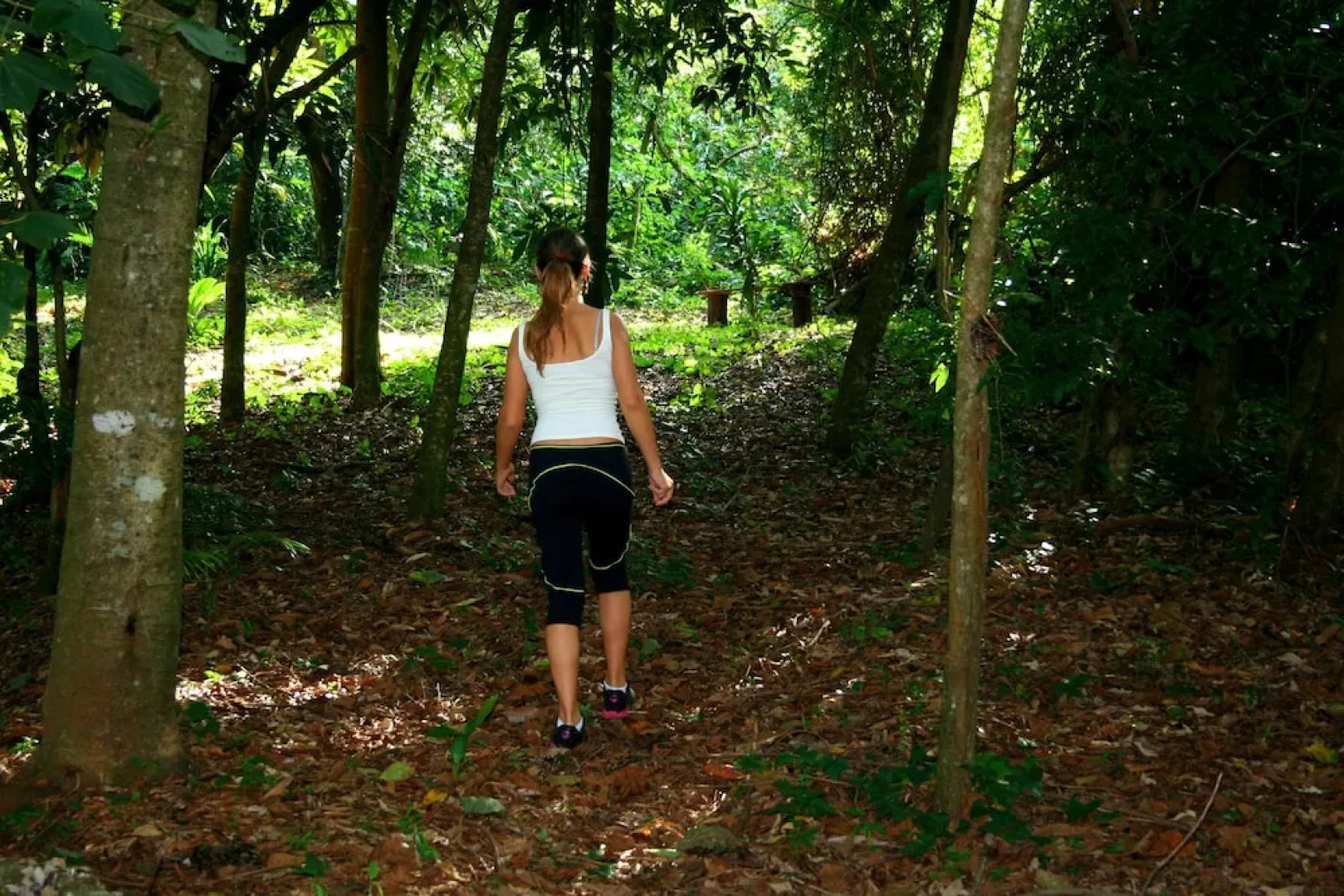 Frangipani Hotel Boutique