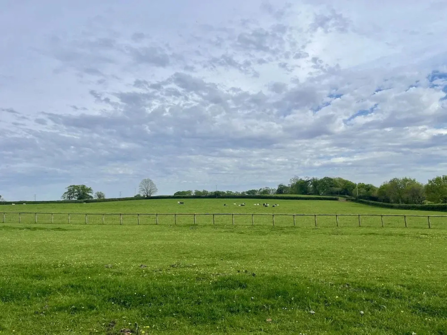 War Horse Valley Orchard View