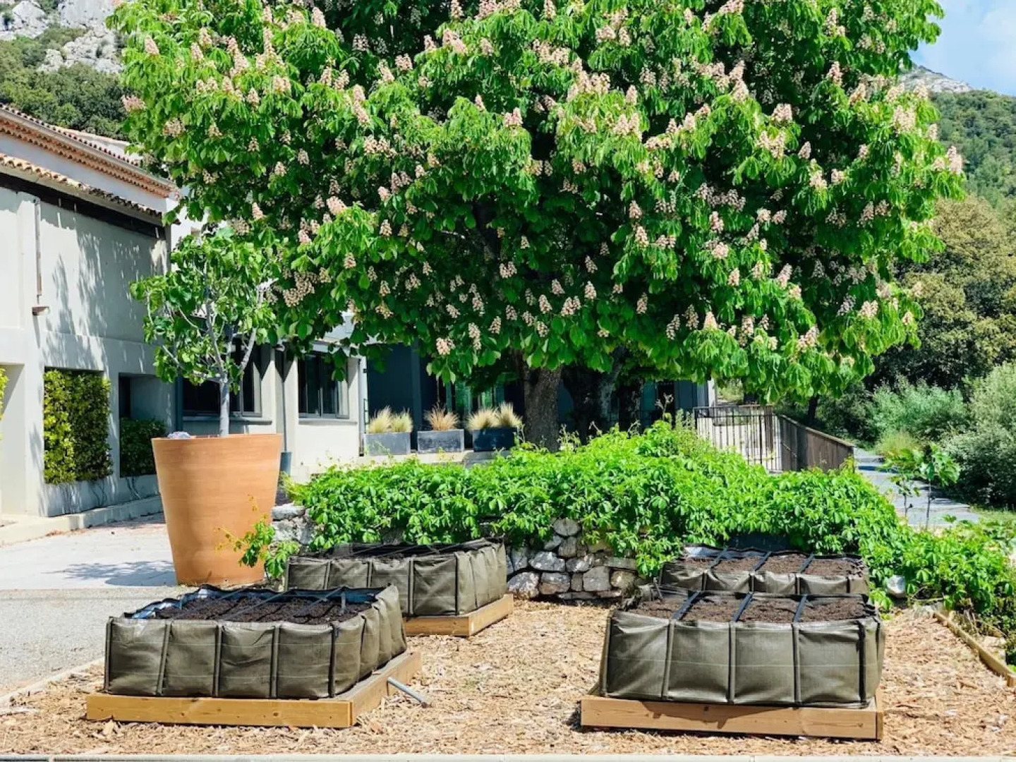 Le Relais de Saint Ser