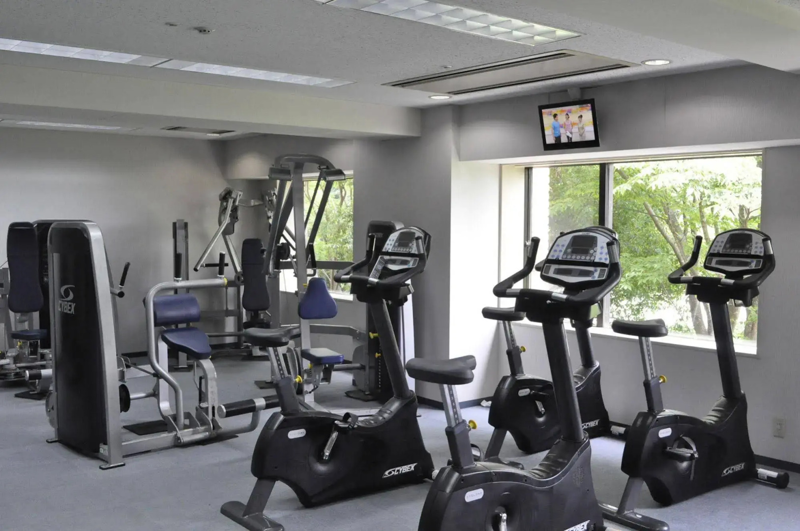 International Garden Hotel Narita